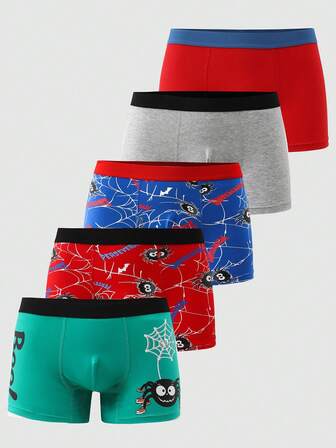 Snug Zone 5条装青少年男童蜘蛛印花平角内裤