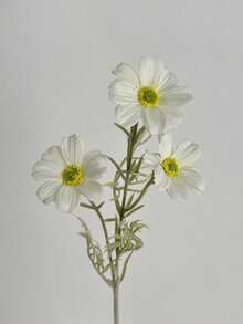 1 pieza/3 piezas Flores de cosmos de tacto real de 17 pulgadas - Ramo de margaritas bohemias, decoración del hogar para todo el año, centro de mesa para bodas de verano y acción de gracias de otoño, crisantemo artificial sin decoloración para mesa/fotografía - Multicolor - Ver 20