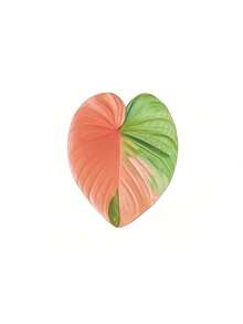 Zazumi Nam châm tủ lạnh hình lá cây, với phong cách xanh tươi mát, mang đến cảm giác độc đáo cho phòng bếp và phòng khách. Có thể dùng làm quà tặng cho bạn bè và gia đình. - Miếng dán tủ lạnh - Xem 13