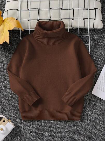 1pc Young Boys' Casual Comfortable Solid Color Versatile Loose Fit Turtleneck Sweater, Can Be Worn As Base Layer Or Outerwear