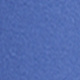 Electric Blue