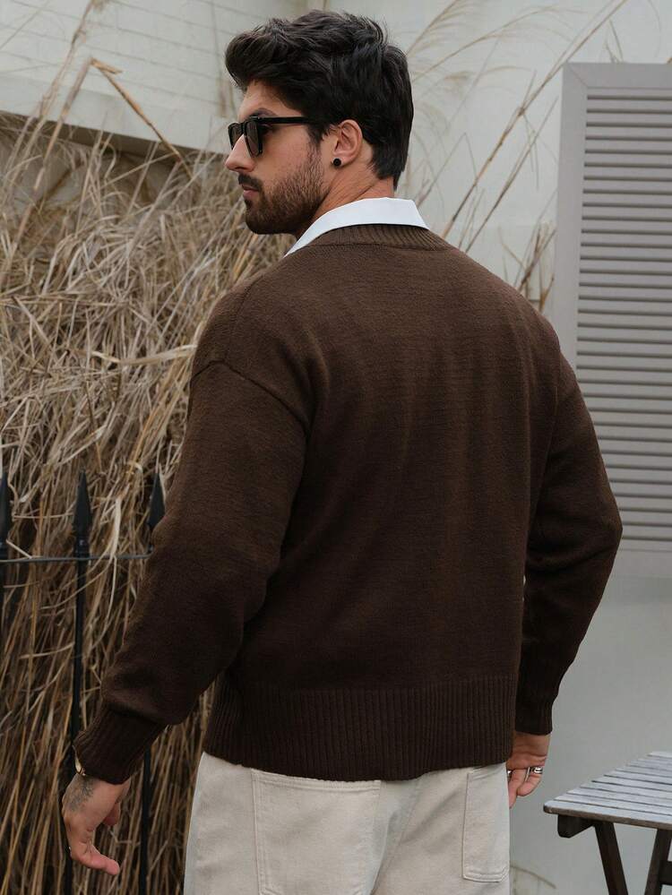 Men's V-Neck Brown Long Sleeve Casual Versatile Sweater, Autumn/Winter