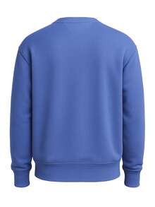 Tommy Hilfiger Varsity Men's Sweatshirt Blue - Electric Blue - 查看 5