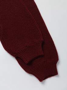 SHEIN Franclia 秋冬季优雅时尚百搭酒红色高领灯笼袖套头毛衣，适合秋冬季圣诞节新年感恩节派对海滩毕业舞会角色扮演新年外出等场合，适合女性毕业典礼、优雅时尚休闲通勤商务办公日常休闲穿着。 - 酒紅色 - 查看 3