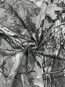 Glimmora Y2K Streetwear Camouflage Zip-Up Sweatshirt, Autumn Leaf Camo, Streetwear Sweatshirt, Retro American Street Dance Hooded Casual Camo Zip-Up Sweatshirt, Casual Autumn Leaf Camo Zip-Up Sweatshirt Jacket, Harajuku Style, Zip-Up Sweatshirt, American Gothic Rock, Street, Casual, Versatile Use - Multicolor - View 6