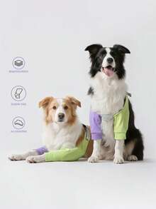 PETSIN 有了护膝，狗狗可以奔跑跳跃而不会伤到膝盖，即使玩耍起来也安心无虞。