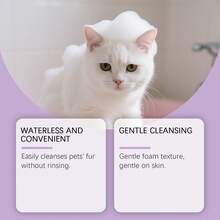 1件/2件装免洗宠物清洁慕斯，适用于猫狗身体和毛发，具有除臭和清洁功效，方便易用的免洗泡沫慕斯 - 彩色 - 查看 6