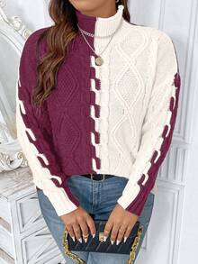 EMERY ROSE Plus Size Women High Neck Color Block Long Sleeve Casual Commuter Sweater, Autumn/Winter - Redwood - View 5