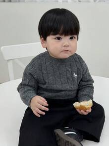 DAZY Toddler Boys' Crew Neck Cable Twist Cartoon Embroidery Solid Color Sweater - Dark Grey - View 4