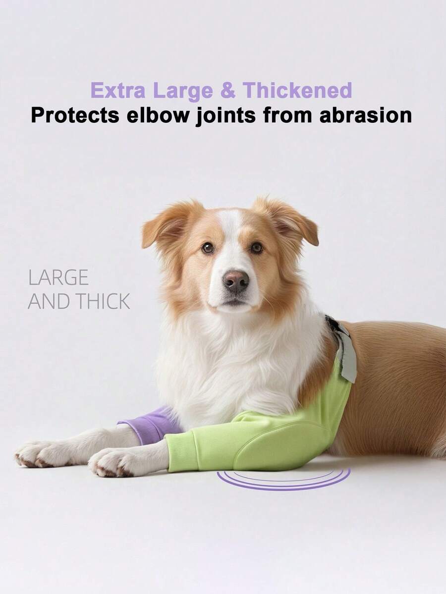 PETSIN 有了护膝，狗狗可以奔跑跳跃而不会伤到膝盖，即使玩耍起来也安心无虞。