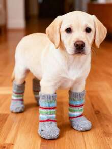 PETSIN Anti Slip Skid Bottom Lovely Puppy Dogs Pet Knits Socks Cute Pet Fashion Pets Dogs Socks For Cats Dog Toy Supplies