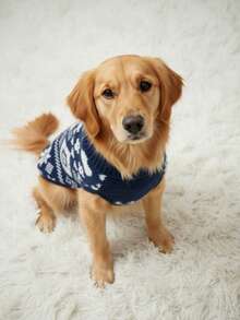 PETSIN 1 件宠物圣诞毛衣猫狗通用蓝色几何费尔岛图案提花时尚经典弹力舒适高领保暖狗毛衣 - 彩色 - 查看 2