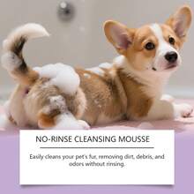 1件/2件装免洗宠物清洁慕斯，适用于猫狗身体和毛发，具有除臭和清洁功效，方便易用的免洗泡沫慕斯 - 彩色 - 查看 7