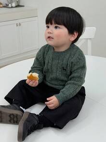 DAZY 男童圆领麻花针织卡通刺绣纯色毛衣 - 綠色 - 查看 5