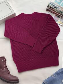 INAWLY Comfortable Plus Size Purple Long Sleeve Pullover Knitwear Rib-Knit Sweater Round Neck Fall Winter - Purple - View 2