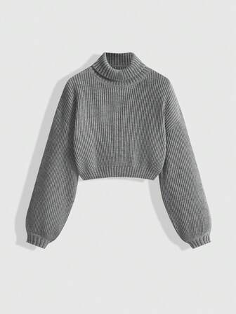Casual Solid Color Turtleneck Sweater, Autumn/Winter