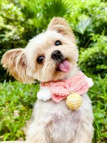 PETSIN 宠物可爱领结项圈围兜；宠物领结项圈；宠物针织项圈；宠物配件；宠物用品。