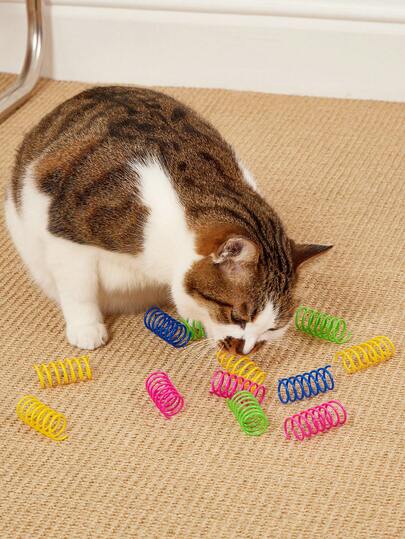 PETSIN 80Pcs/20Pack Cat Spring Toy, Interactive Cat Toy For Indoor Cats Durable Plastic Coils Colorful Springs Cat Toys Active Healthy Fitness Play Coil Spiral Springs Kitten Toys For Swatting, Biting, Hunting