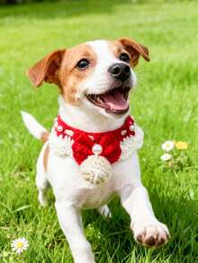 PETSIN 宠物可爱领结项圈围兜；宠物领结项圈；宠物针织项圈；宠物配件；宠物用品。