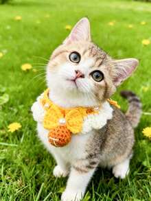 PETSIN 宠物可爱领结项圈围兜；宠物领结项圈；宠物针织项圈；宠物配件；宠物用品。