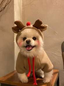 PETSIN 1 Stück Weihnachtshund Kostüm, umgewandelt in Hunde- und Katzenkleidung für kleine bis mittlere Hunde. Herbst- und Winterzubehör für Haustiere. Teddybär und Mastiff Katzenkleidung.