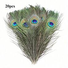 SHEIN 10/20/40 件天然孔雀羽毛，家居装饰和插花，DIY 工艺品