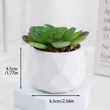 1株人造植绒多肉植物，菱形图案/白色小盆栽，仿真花桌面摆件，迷你盆栽景观绿植，情人节、生日、毕业季、家居装饰、返校季、房间装饰、学习用品 - 彩色 - 查看 42