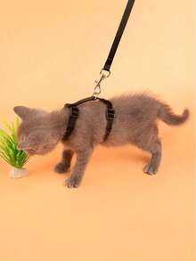 1pc Cat Harness And Leash, H-Style Cat Walk Strap Chest Collar For Pet Cat - Multicolor - View 8