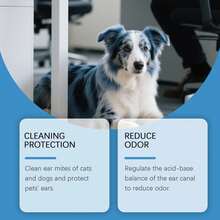 1PC Pet Ear Drops For Cats And Dogs Ear Cleansing Odor Ear Drops