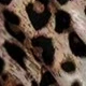 Nhiều màu