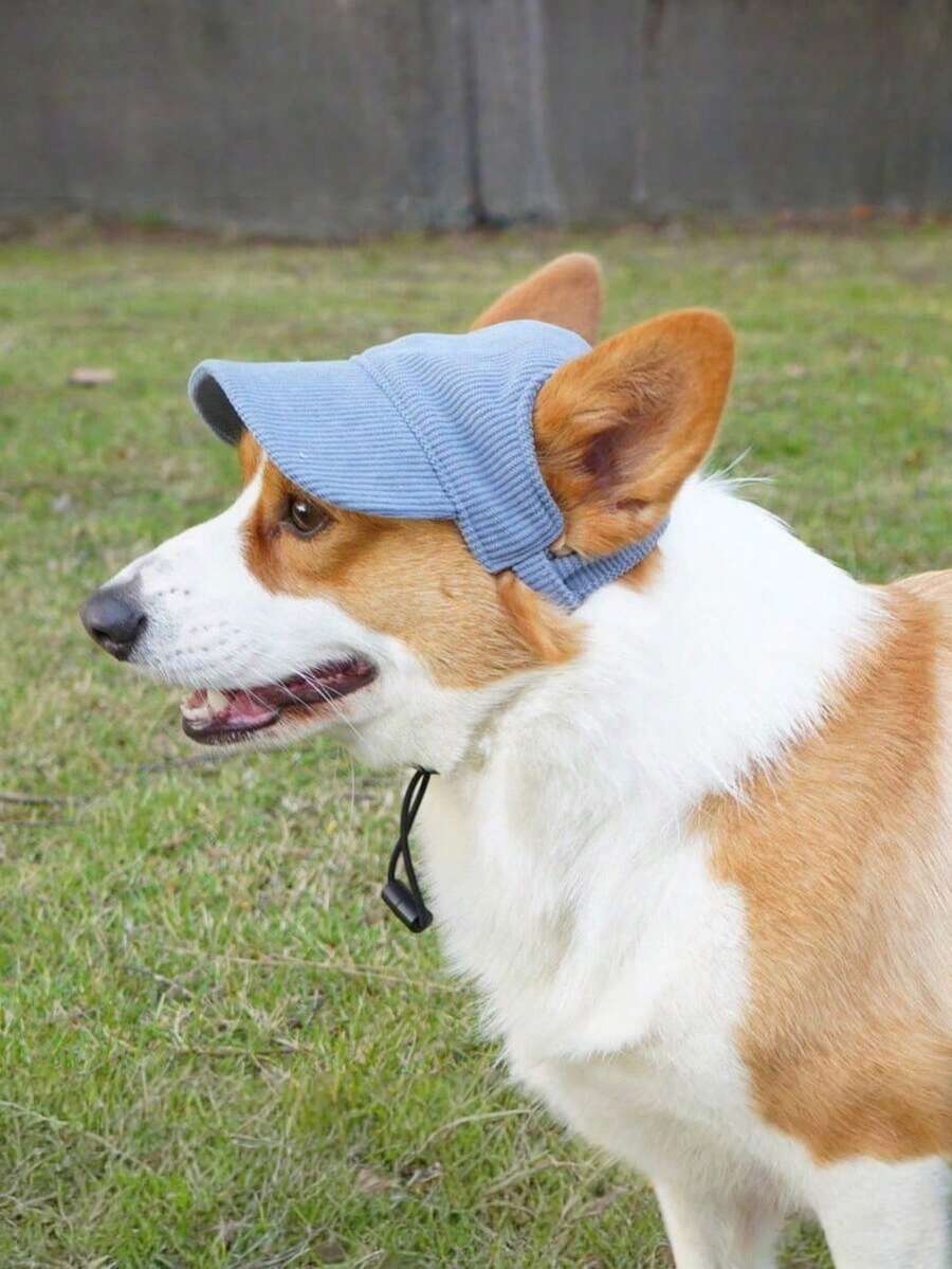 1 pieza Gorra de béisbol transpirable para mascotas - Exclusiva para perros, Sombrero de sol de pana para mascotas para exteriores, Gorra de sol informal para perros, Sombrero fresco y de moda para gatos y perros - Azul - Ver 1