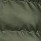 أخضر داكن