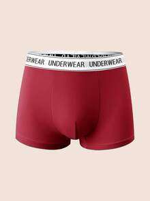 Manfinity Underwear&Sleepwear Basics 10pcs/Pack Men's Boxer Briefs, Fashionable Multi-Color Underwear - Multicolor - View 6