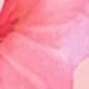 Watermelon Pink