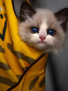 Joivida 可爱动物图案相机收纳布，防滑耐磨，魔术自粘，便携式化妆品收纳袋，不占空间，送朋友礼物，生日礼物，情人节礼物 - 彩色 - 查看 13