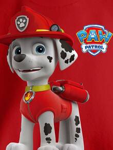 SHEIN | PAW Patrol Young Boy Cartoon Pattern Colorblock Crew Neck Long Sleeve Pullover Sweatshirt