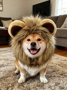 PETSIN Universal Adjustable Pet Hat For Cats And Dogs: Cute Lion Transformation For Fall/Winter - Multicolor - View 7