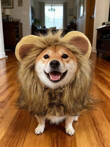 PETSIN Universal Adjustable Pet Hat For Cats And Dogs: Cute Lion Transformation For Fall/Winter - Multicolor - View 1