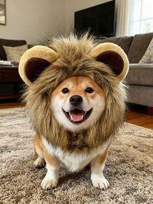 PETSIN Universal Adjustable Pet Hat For Cats And Dogs: Cute Lion Transformation For Fall/Winter - Multicolor - View 12