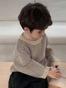 DAZY 幼儿男童宽松休闲条纹针织毛衣，基本款圆领长袖，秋季款 - 灰色 - 查看 5