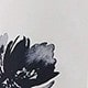 trắng