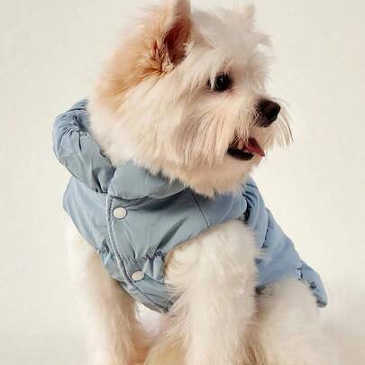  PETSIN 3-Layer Thick Warm Pet Dog Jacket Outfits For Autumn/Winter, Suitable For Poodle, Teddy, Yorkshire Terrier & Other Small/Medium Breed Dogs