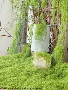 SHEIN 30g/50g Artificial Moss String , Fake Moss, Faux Moss For Plants Indoor, Artificial Moss For Indoor Plants, Green Moss For Plants Indoor Art Landscape, Gardening Decor, Crafts Moss For DIY Decorative Moss Table Centerpieces Decor Fairy Garden Floral Wedding,Freely Shaped Available - Dark Green - View 7