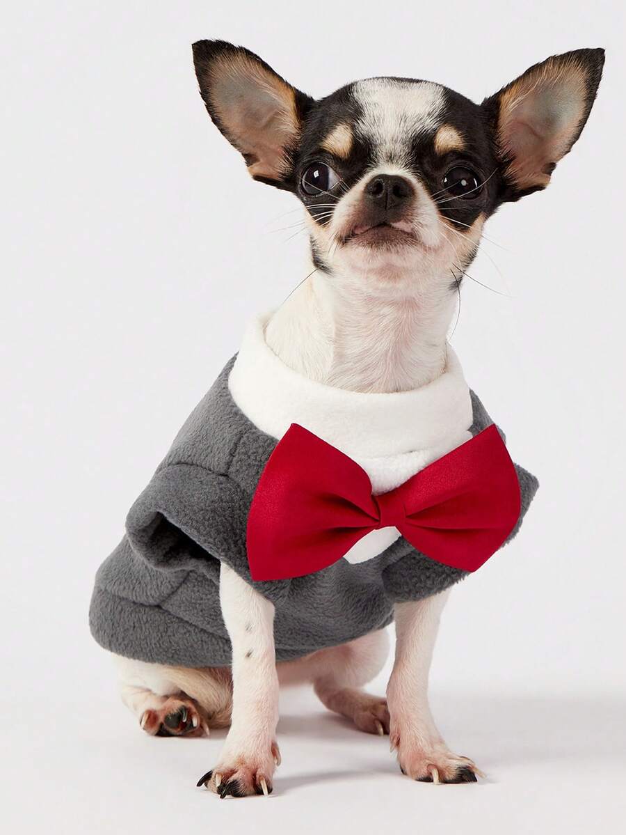PETSIN 1件宠物大狗金色毛发秋冬新款服装柯基猫套装宠物连衣裙猫咪衣服狗狗用品,深灰色背心 - 灰色 - 查看 1