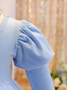 Glamorique Kids Baby Girl Elegant Blue White Summer Birthday Princess Dress Charming Velvet Puff Short Sleeve Double-Layer Mesh Embroidered Floral Trim Snug Fit - Blue - View 6