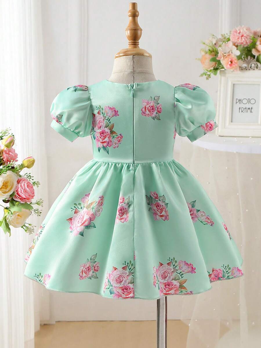Glamorique Kids 少女连衣裙,婚纱,优雅,玫瑰,生日礼服 - 綠色 - 查看 1