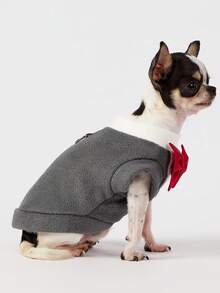 PETSIN 1件宠物大狗金色毛发秋冬新款服装柯基猫套装宠物连衣裙猫咪衣服狗狗用品，深灰色背心 - 灰色 - 查看 2