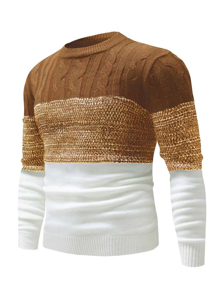 Men Color Block Cable Knit Sweater, Fall/Winter, Long Sleeve Top