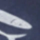 الأحمر
