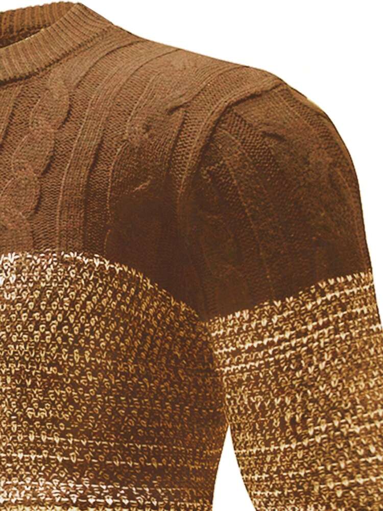 Men Color Block Cable Knit Sweater, Fall/Winter, Long Sleeve Top